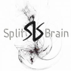 Split Brain : Unstatic